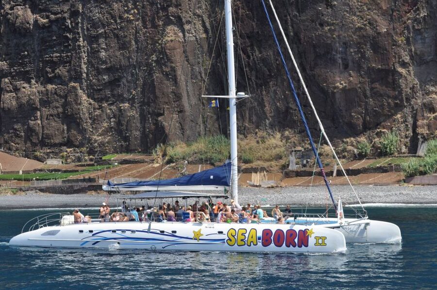 Funchal: Dolphin and Whale Watching Catamaran Cruise - Who This Cruise Fits Best (And Who Might Reconsider)