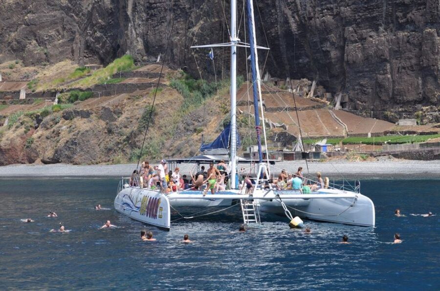 Funchal: Dolphin and Whale Watching Catamaran Cruise - The Tour Guide and Crew: What Makes It Work