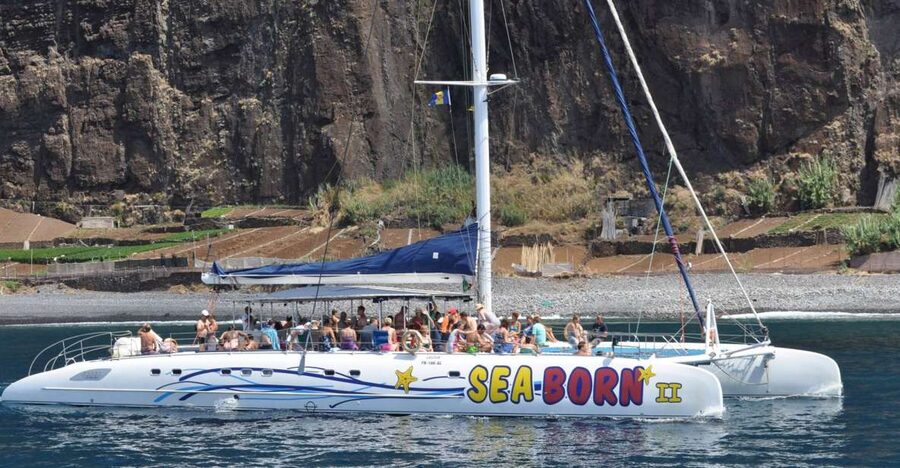 Funchal: Dolphin and Whale Watching Catamaran Cruise - Price and Value: Why $41 Can Make Sense