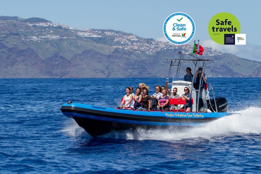 Funchal: Dolphin and Whale Watching Cruise - Dolphin and Whale Watching in Funchal: Why This Cruise Feels Different