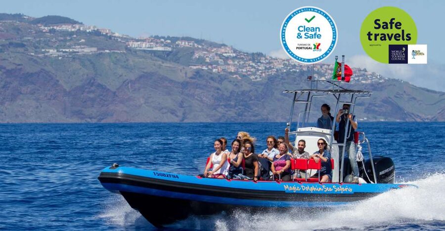 Funchal: Dolphin and Whale Watching Cruise - The Sea Safari from Magic Dolphin: Check-In Without Stress