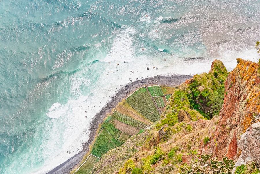 Funchal: Dolphin and Whale Watching Sailing Trip - Key Things I’d Put at the Top