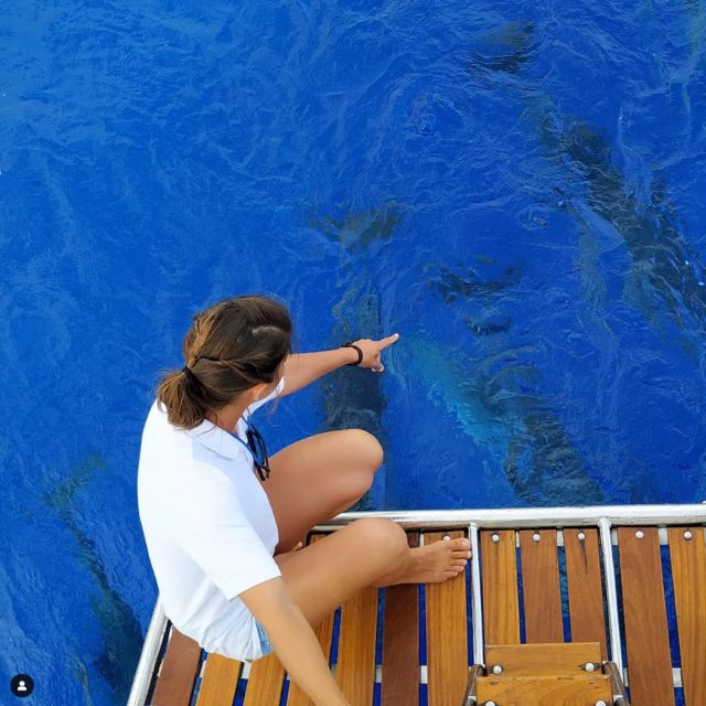 Funchal: Dolphin and Whale Watching Sailing Trip - First Steps From Praça do Povo: Easy Meeting, Easy Start
