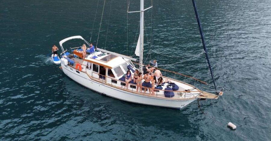 Funchal: Dolphin and Whale Watching Sailing Trip - How the Crew Finds Marine Life Near Cabo Girão (And Why It’s Not Guaranteed)
