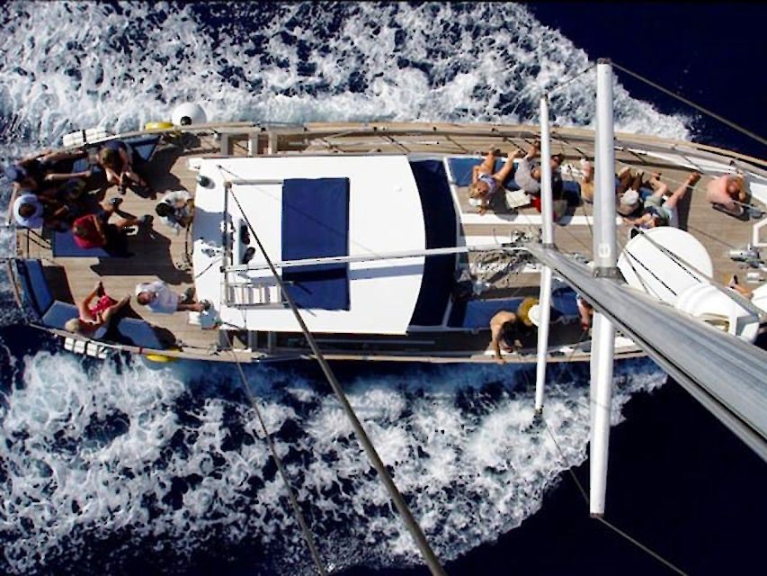 Funchal: Dolphin and Whale Watching Sailing Trip - Price and Value: Why This Trip Often Feels Worth It