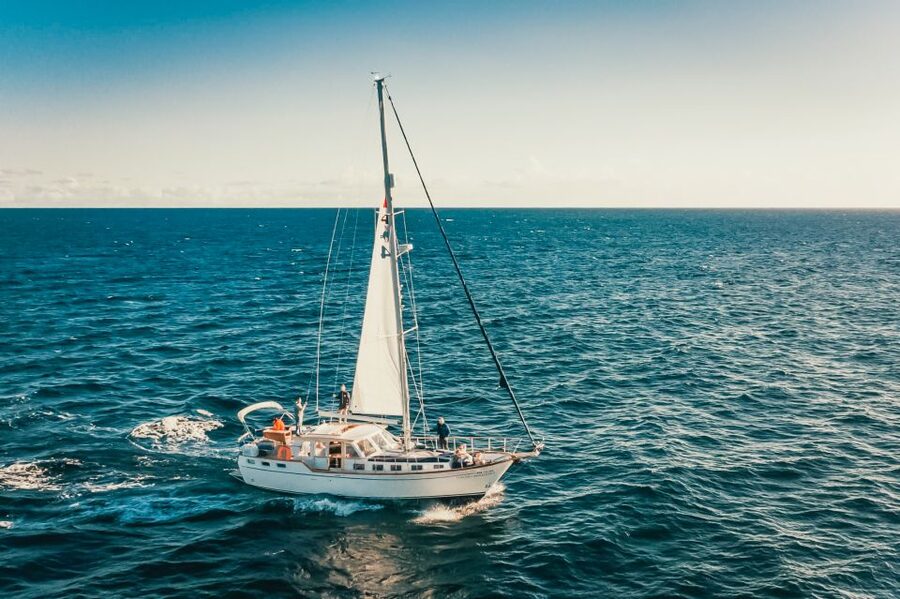 Funchal: Dolphin and Whale Watching Sailing Trip - Who This Sailing Trip Suits Best (And Who Might Skip It)