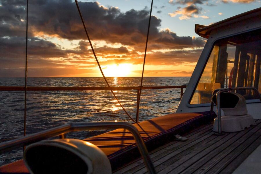Funchal: Dolphin and Whale Watching Sunset Sailing Tour - Key Points You Should Know Before You Go