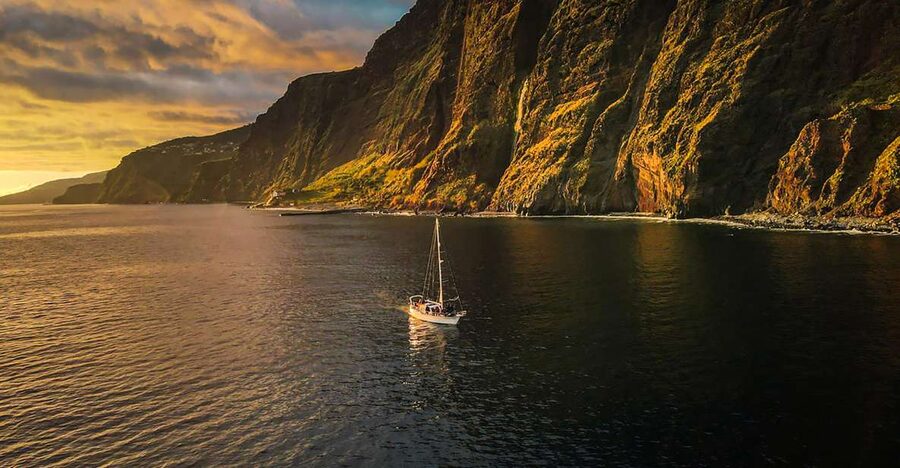 Funchal: Dolphin and Whale Watching Sunset Sailing Tour - From Funchal Marina to Open Water: The Start That Sets the Tone