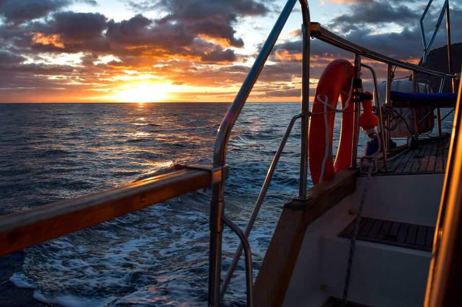 Funchal: Dolphin and Whale Watching Sunset Sailing Tour - Cabo Girão: The Stop That Turns a Cruise into a Real Swim