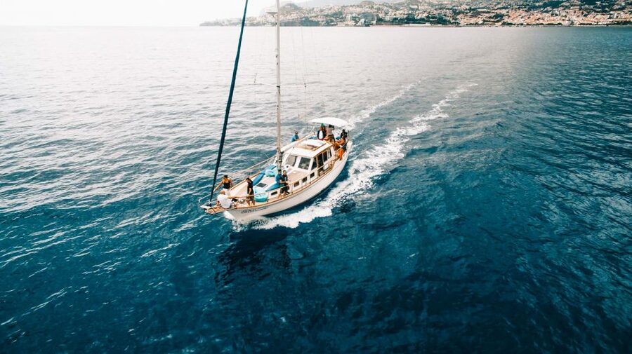 Funchal: Dolphin and Whale Watching Sunset Sailing Tour - The Sunset Sailing Part: Drinks, Breeze, and That Golden-Hour Feeling