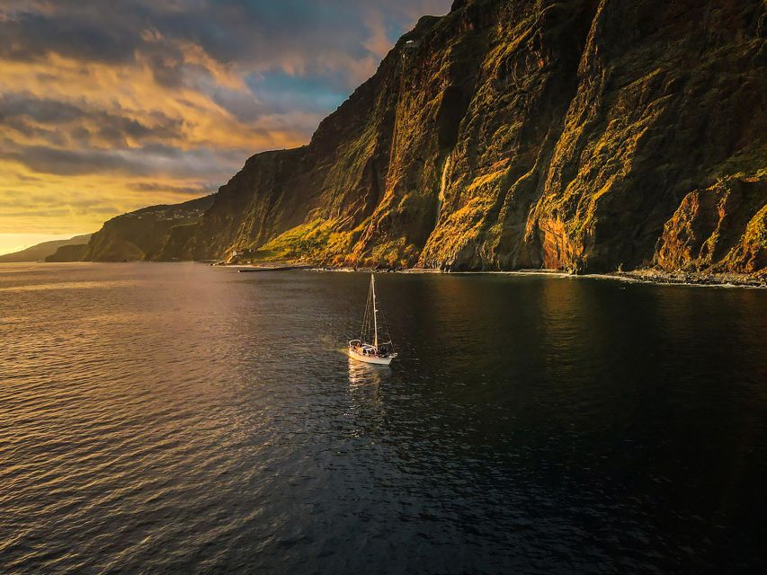Funchal: Dolphin and Whale Watching Sunset Sailing Tour - Best Fit: Who This Tour Suits (and Who Should Rethink It)