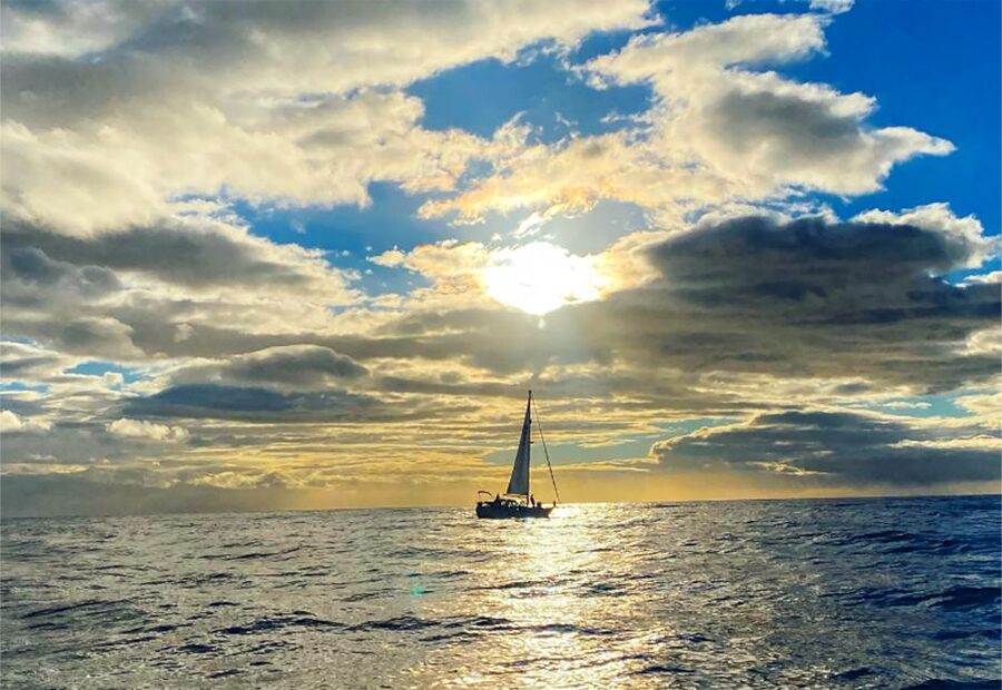 Funchal: Dolphin and Whale Watching Sunset Sailing Tour - What to Bring for a Smooth Evening