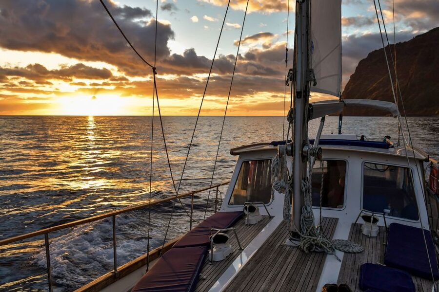 Funchal: Dolphin and Whale Watching Sunset Sailing Tour - Final Call: Should You Book This Sunset Dolphin and Whale Tour?