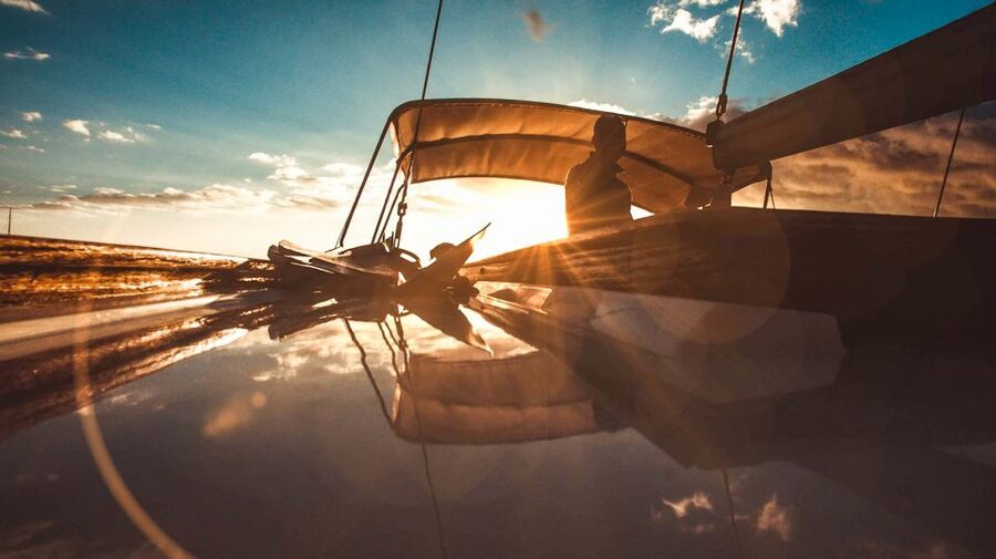 Funchal: Dolphin and Whale Watching Sunset Sailing Tour - Wildlife Search for Dolphins and Whales: Fun, But Keep Expectations Flexible