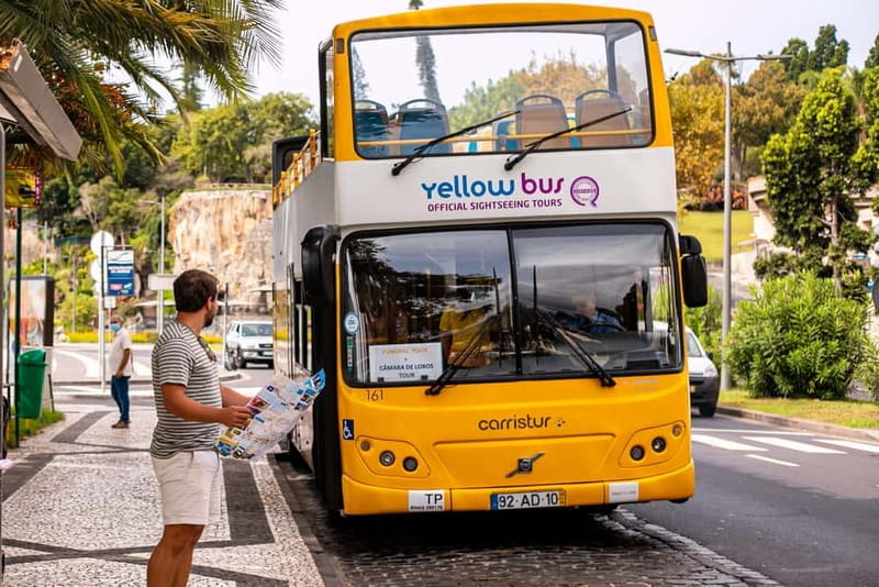Funchal:Hop-on Hop-off Bus & Whale & Dolphin boat Excursion - Key Things to Know Before You Go