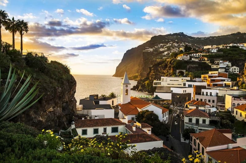 Funchal:Hop-on Hop-off Bus & Whale & Dolphin boat Excursion - Should You Book It?