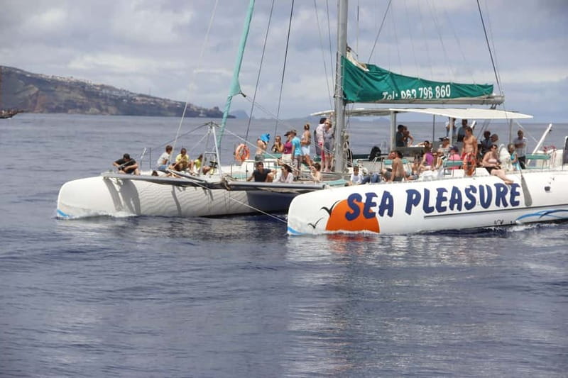 Funchal:Hop-on Hop-off Bus & Whale & Dolphin boat Excursion - Start Here: Meeting Points and How Check-In Works