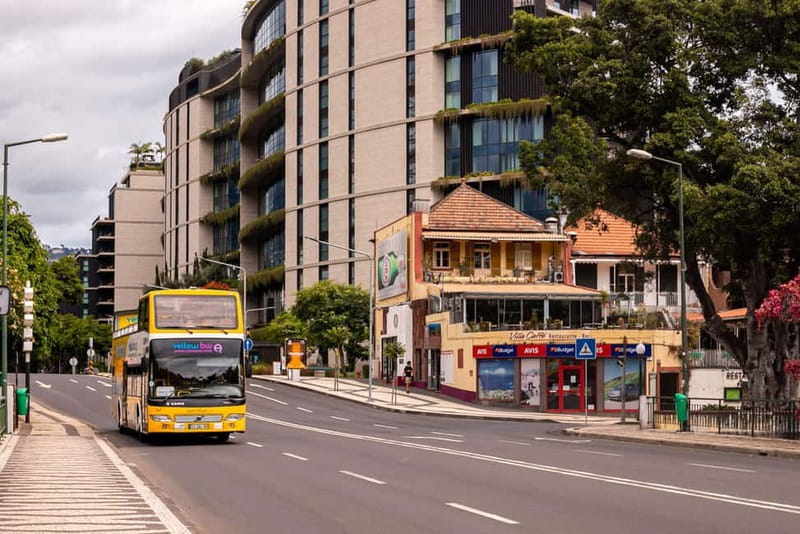 Funchal:Hop-on Hop-off Bus & Whale & Dolphin boat Excursion - Timing, Weather, and Real-World Tips That Save You
