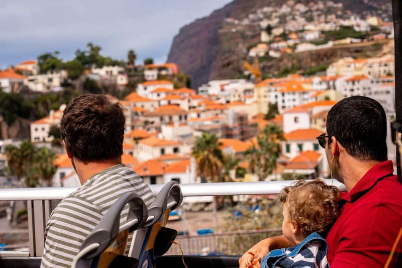 Funchal:Hop-on Hop-off Bus & Whale & Dolphin boat Excursion - Price and Value: What Your $54 Is Really Covering