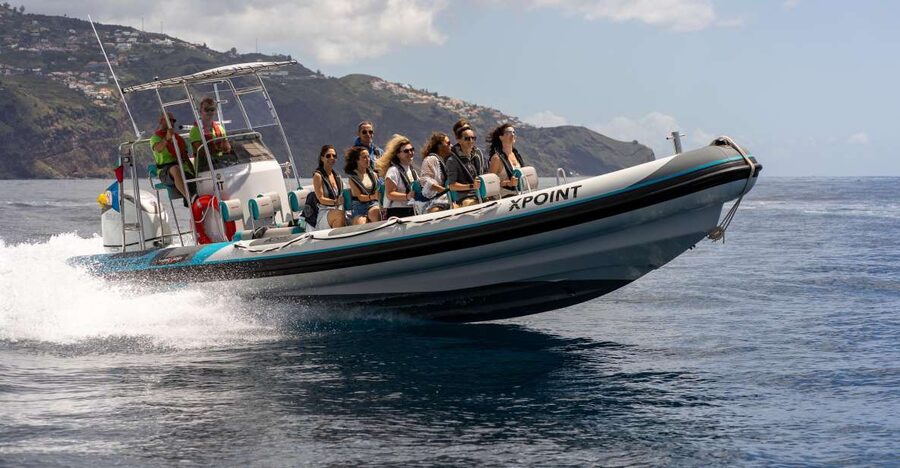 Funchal: RIB Whale Watching Cruise and Optional Dolphin Swim - Key things I’d bet your trip depends on