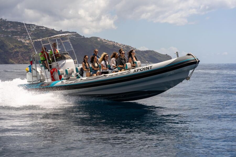 Funchal: RIB Whale Watching Cruise and Optional Dolphin Swim - A Fast RIB, Small Group, Real Wild Encounters Off Funchal
