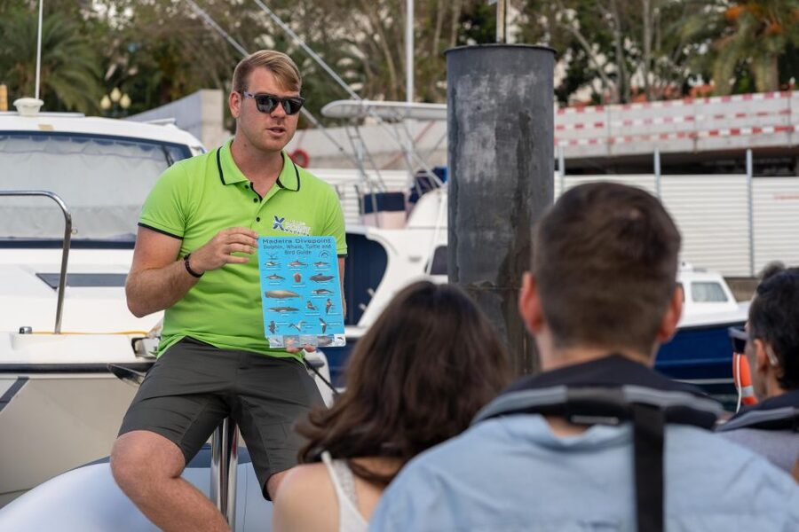 Funchal: RIB Whale Watching Cruise and Optional Dolphin Swim - Comfort, Clothing, and Sea Conditions: What to Bring for a Windy RIB Ride