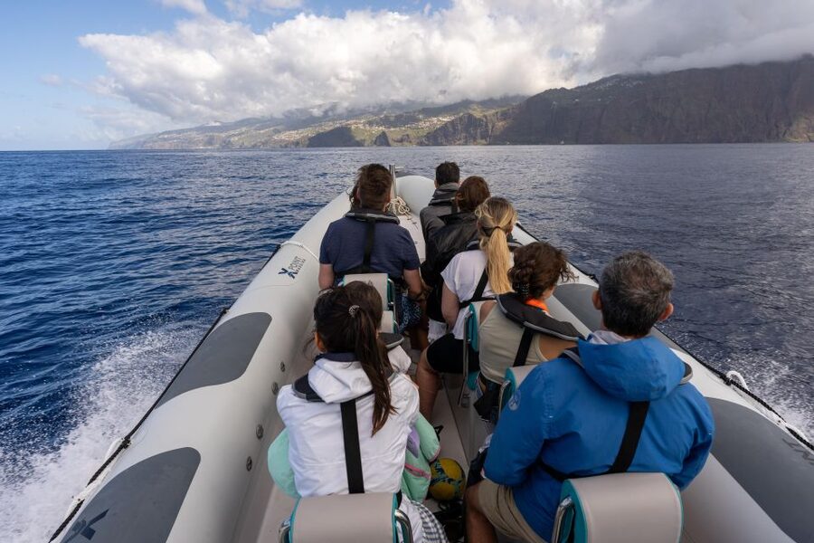 Funchal: RIB Whale Watching Cruise and Optional Dolphin Swim - FAQ