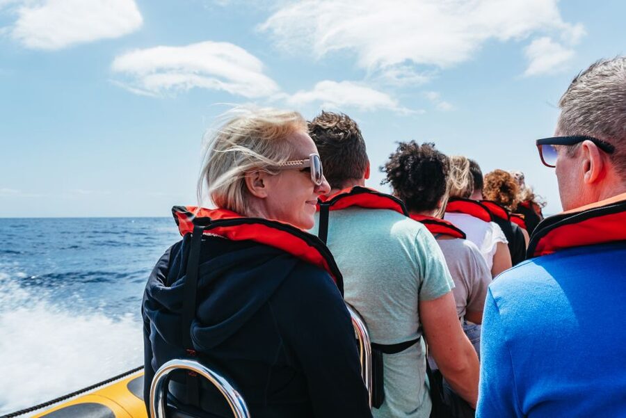 Funchal: Whale and Dolphin Watching Speed Boat Tour - Who Should Book This Speed Boat Tour (and Who Should Rethink It)