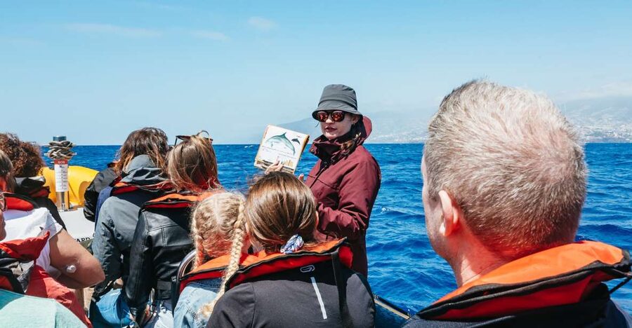 Funchal: Whale and Dolphin Watching Speed Boat Tour - Pier 8 Departure: Getting Set for Madeira’s Open Water
