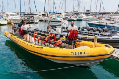 Funchal: Whale and Dolphin Watching Speed Boat Tour - How the Speed Boat Run Works Along Madeira’s Coast