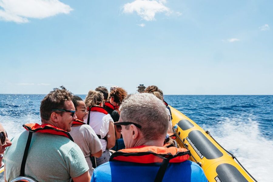 Funchal: Whale and Dolphin Watching Speed Boat Tour - Cetacean Odds, Land Spotters, and the Free Second Chance