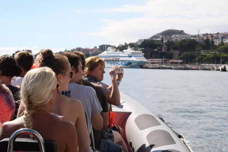 Funchal: Whale Watching and Swimming with Dolphins Cruise - Key highlights you’ll feel fast