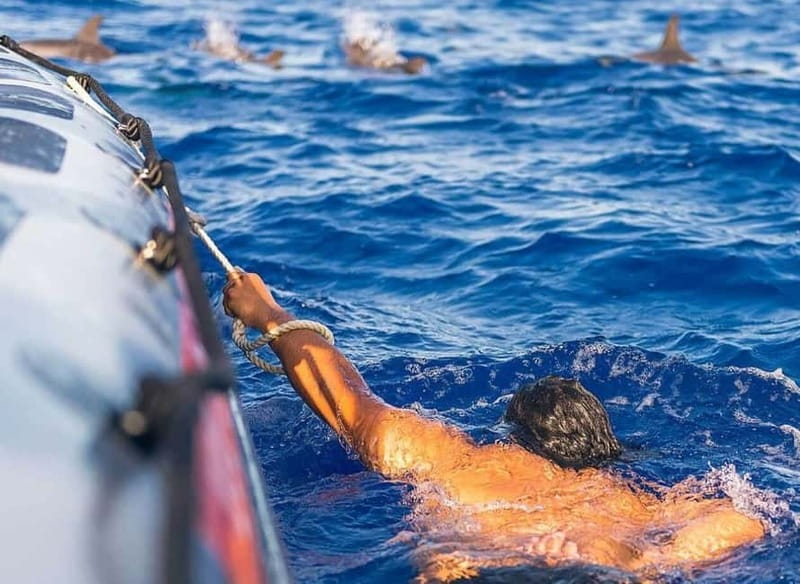 Funchal: Whale Watching and Swimming with Dolphins Cruise - Entering Madeira’s cetacean zone from Funchal