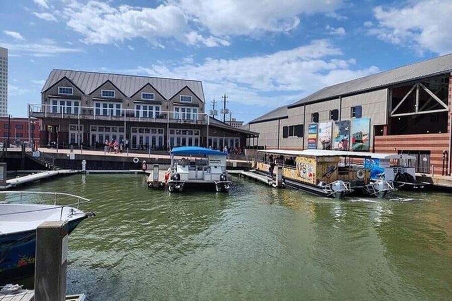 Galveston: Dolphin Watching Boat Tour in Galveston Bay - Out on Galveston Bay: What You’ll See During the Tour Loop