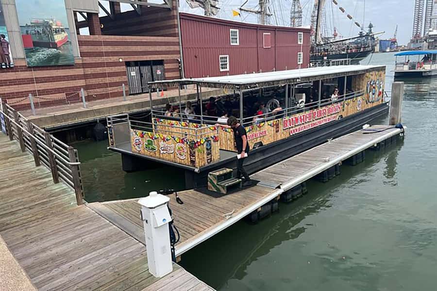 Galveston: Dolphin-Watching Cruise - Dolphins and Waterfront Views in 45 Minutes: What This Cruise Gives You