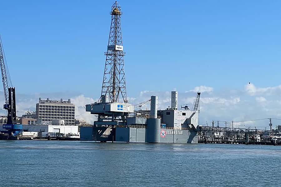 Galveston: Dolphin-Watching Cruise - Practical Tips: What to Bring and What to Know Before You Board