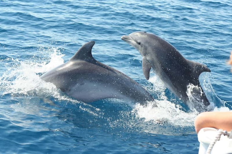 Giardini Naxos: Dolphin Catamaran Sunset Tour with Aperetif - Boarding in Giardini Naxos: departure points, parking, and the 360 deck