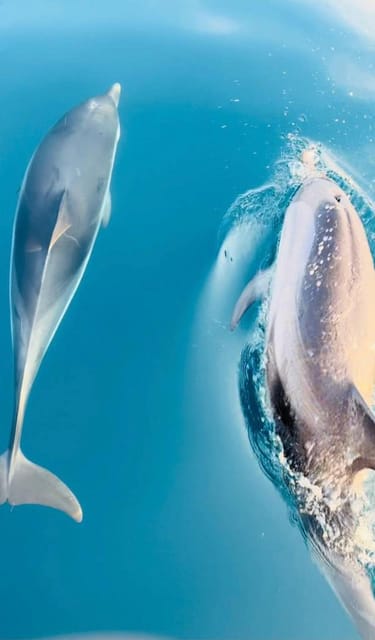Giardini Naxos: Sunset Dolphin Watching Cruise with Aperitif - Sunset views from Giardini Naxos: why this cruise is a good use of time