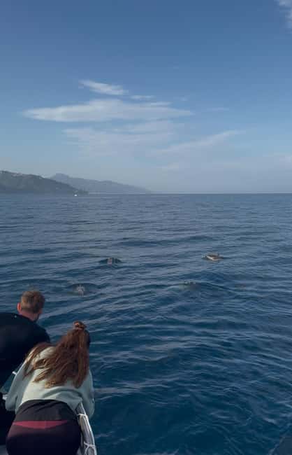Giardini Naxos: Sunset Dolphin Watching Cruise with Aperitif - Timing and logistics: 2.5 hours that actually fit a day