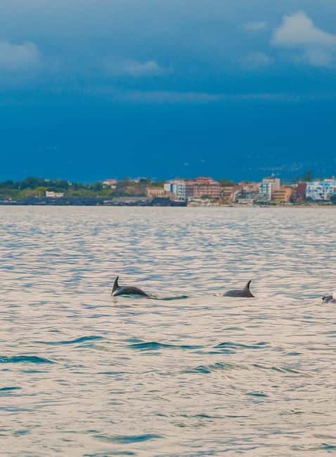 Giardini Naxos Taormina: Dolphin Watching Sunset Tour - Key takeaways before you book