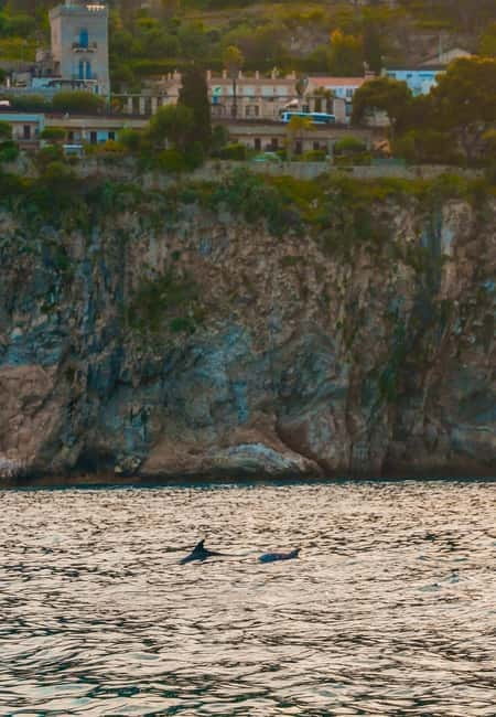 Giardini Naxos Taormina: Dolphin Watching Sunset Tour - Practical tips to make your trip smoother