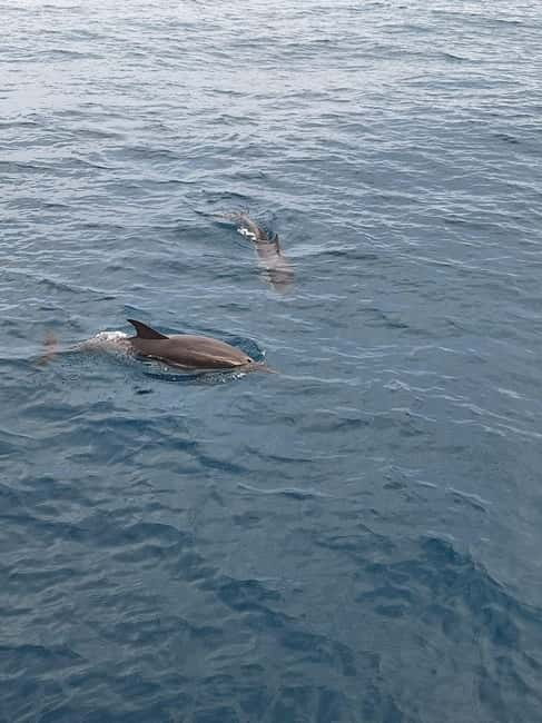 Giardini Naxos Taormina: Dolphin Watching Sunset Tour - What you get onboard: hi-fi, life jackets, and a quick shower