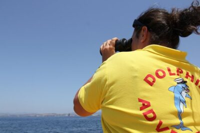 Gibraltar Dolphin Adventure - Meeting at Dolphin Adventure Marina Bay (Admiral’s Walk): Start Easy, Stay Focused