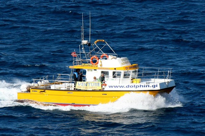 Gibraltar Dolphin Adventure - Drinks, Transportation, and Other Small Planning Details