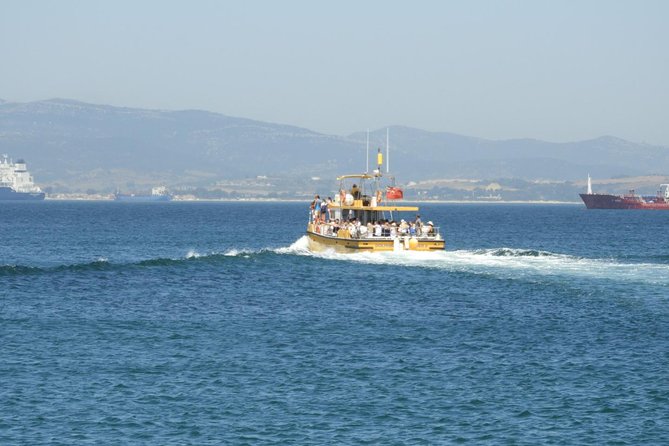 Gibraltar Dolphin Adventure - Price and Value: Is $35.65 for Gibraltar Dolphins Worth It?