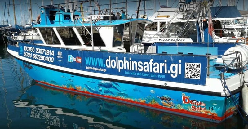 Gibraltar: Dolphin Watching Boat Tour - Key things that make this dolphin cruise worth your time