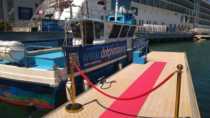 Gibraltar: Dolphin Watching Boat Tour - Getting there fast: Marina Bay check-in and boarding 50 meters away
