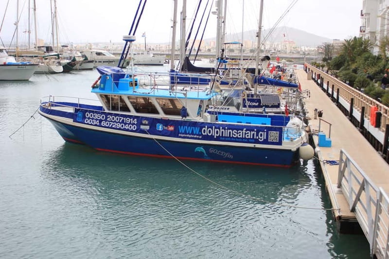 Gibraltar: Dolphin Watching Boat Tour - Comfort basics: toilets, drinks, and weather you should plan for