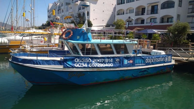 Gibraltar: Dolphin Watching Boat Tour - The trihedral boat: close sightings come from good handling