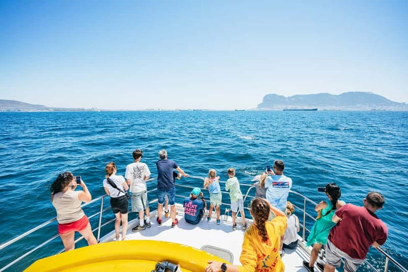Gibraltar: Dolphin Watching Tour - Who should book this dolphin tour, and who might reconsider